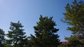 よいなス