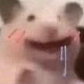 cxito