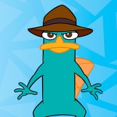 sinokoi