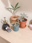 薫鈴