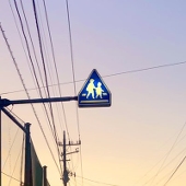 めじろ