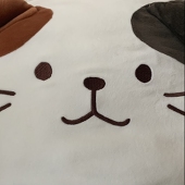 さやの