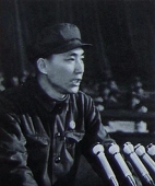 没有常识的兔