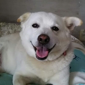 岡ちゃんだよー