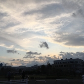 ハク