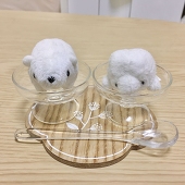 もっちりどっこいしょ