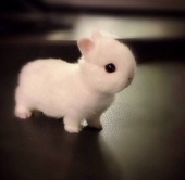 amithesmolsatan