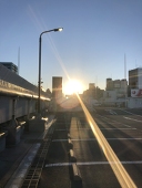 も