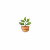 植木はち