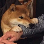 benjtaco