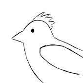 小鳥