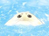 ねたろ
