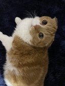 そら