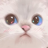 Kit Kitoshy