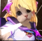 賀九
