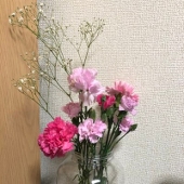 しんしん