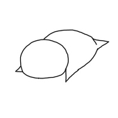 薬滝