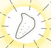 高飯