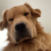 贰十陆