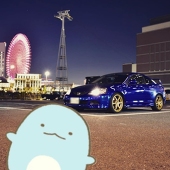 とかげR Type S