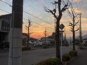 ちゃー