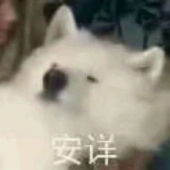 卧雪山寮