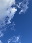 希ヰ蕗
