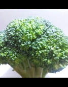 これ