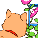 伊東フミ