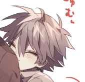 しらすぬこ