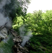 遠