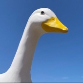 まかささ