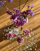 Y