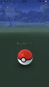 なごみ
