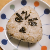縞子