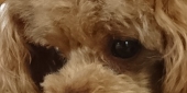 JUN