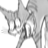tora