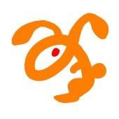 橙の兎
