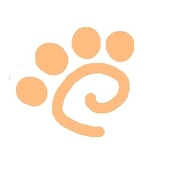 わさび菜