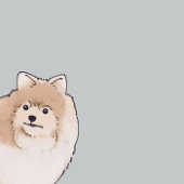 腱太郎