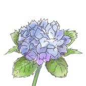 ranz01