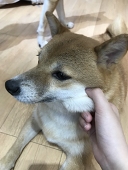 Nonaharuki