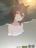 55nico