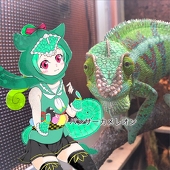ベールゼブフォ
