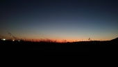 ちゃむ