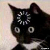 墓