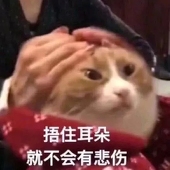 不知名的鹅