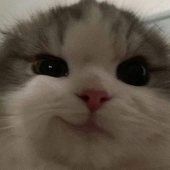 Asif