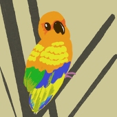 gurazioso