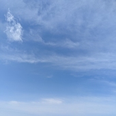 はるこたん